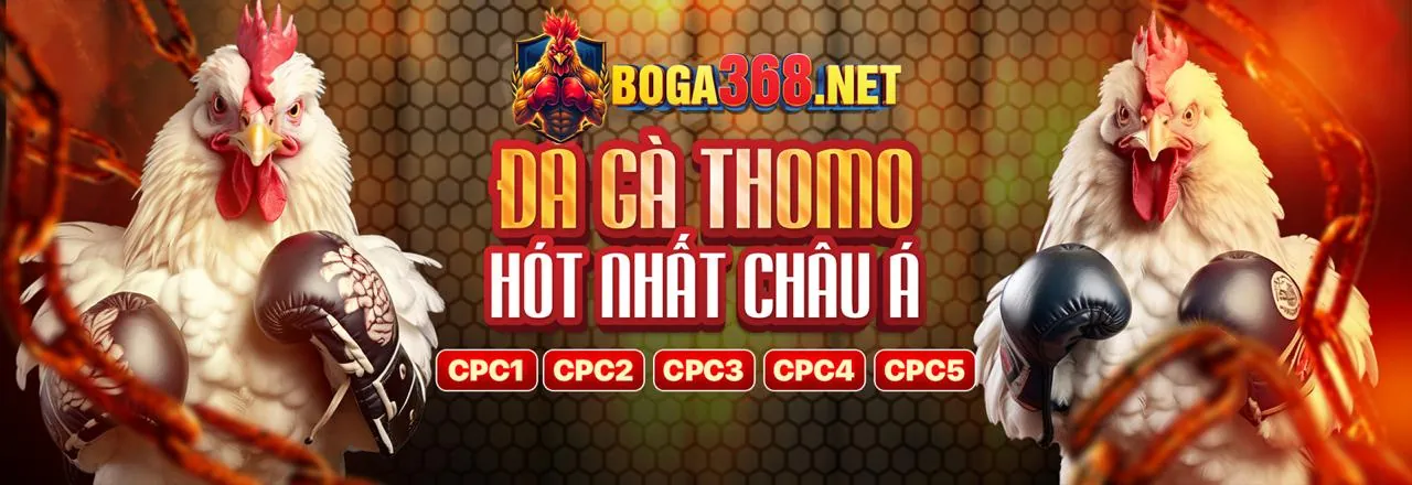 Đá gà trực tiếp đầy kịch tính tại choangclub khuyến mãi